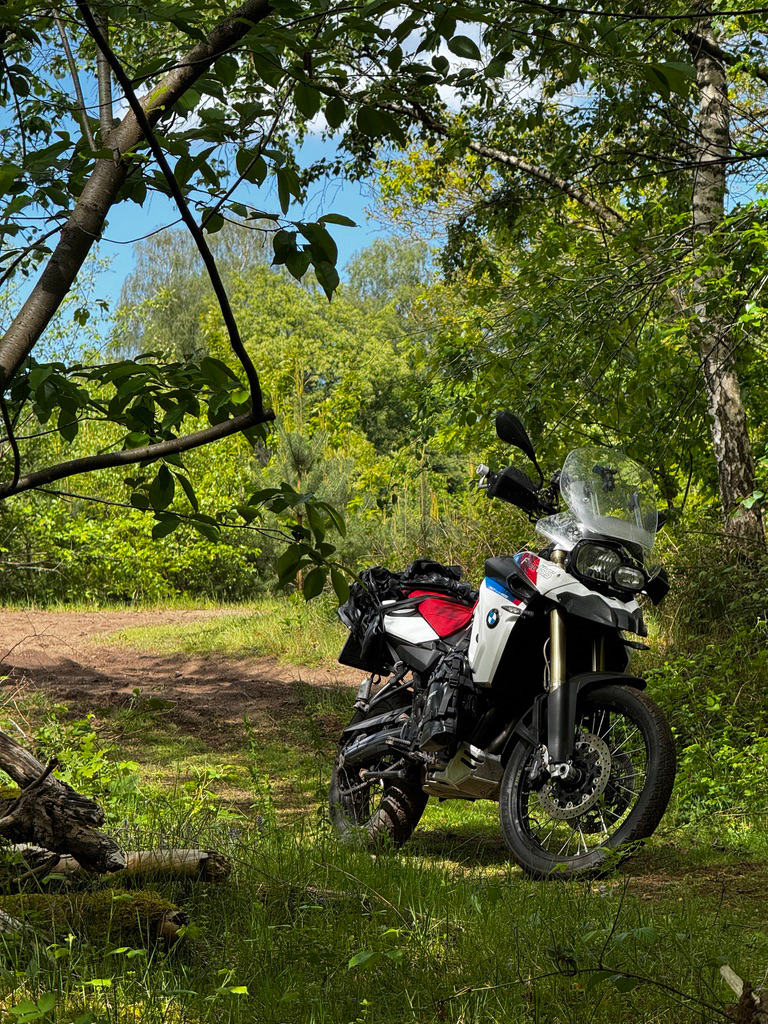 My BMW F800GS parked on a forest trail